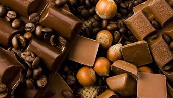 独家揭秘绝密巧克力制作配方大公开！让你成为巧克力制作达人！