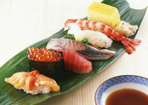 日式寿司料理技巧：匠心与美味的秘密