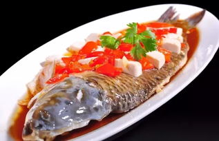 鱼类在烹饪运用具体表现，烹饪鱼类的艺术与魅力